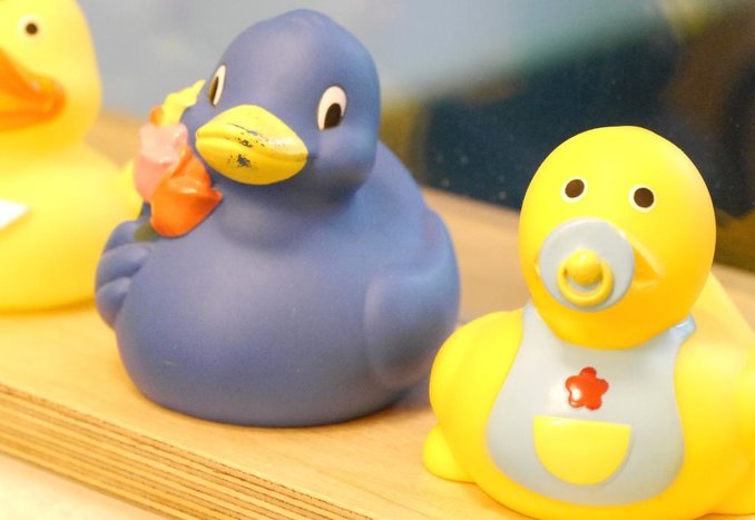 10Enten.JPG