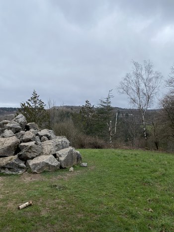 IMG_5311.JPG