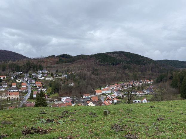 IMG_5265.JPG